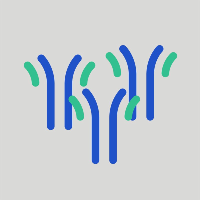 Biosimilar reference antibodies