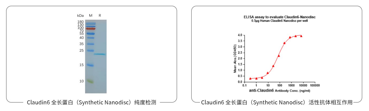 pages-51630837cf69d96