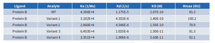 pages-BCMA antibody humanization case display
