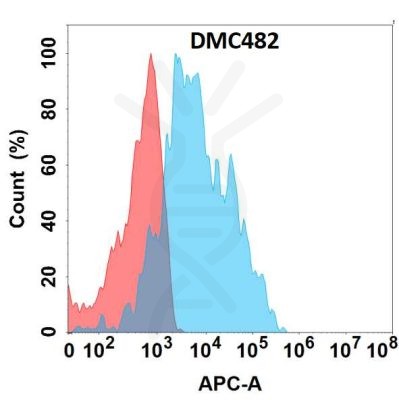 antibody-DMC100482 GPR77 Fig.1 FC 1