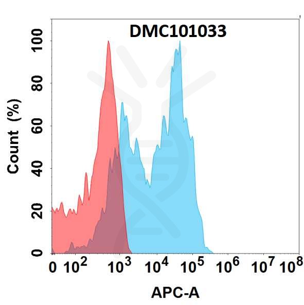 antibody-DMC101033 CD79B Fig.1 FC 1