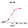 antibody-DME100072 MSLN ELISA Fig1