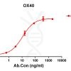 antibody-DME100116 OX40 ELISA Figure1