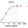 antibody-DME100155 CD171 ELISA Fig1