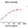 antibody-DME100198 NEFL9 88 ELISA Fig1