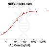 antibody-DME100199 NEFL89 400 ELISA Fig1
