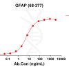 antibody-DME100216 GFAP68 377 ELISA Fig1