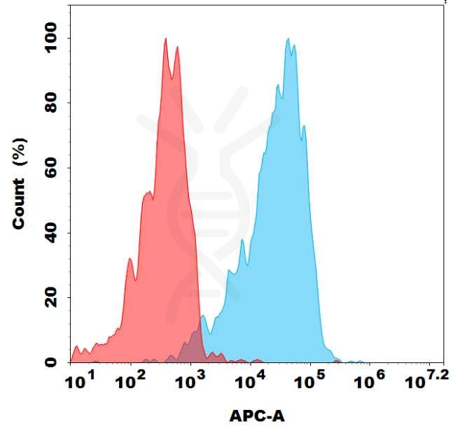 antibody-dmc100368b gpr75 fc1