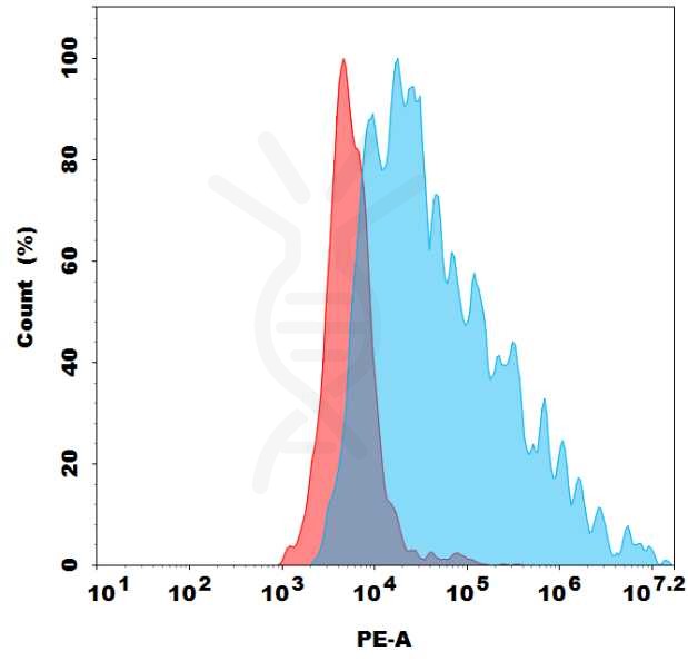 antibody-dmc101338p sez6 fc1