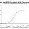 antibody-dme101183b gpr56 elisa1
