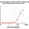 antibody-dme101319b exatecan elisa1