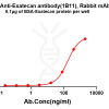 antibody-dme101320b exatecan elisa1