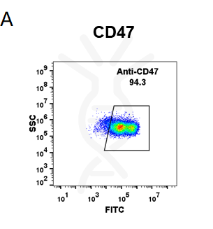 FC-BME100001 Anti CD47daratumumab biosimilar mAb FLOW Fig1 A
