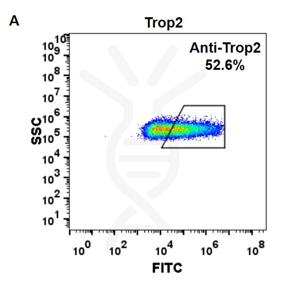 FC-BME100023 Anti Trop2 sacituzumab govitecan biosimilar mAb FLOW Fig1 A