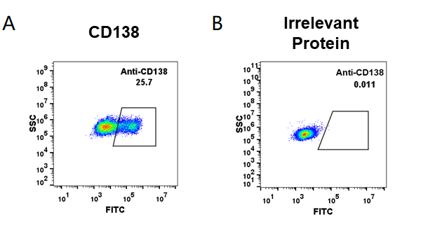 FC_combine-BME100014 Anti CD138indatuximab ravtansine biosimilar mAb FLOW Fig1
