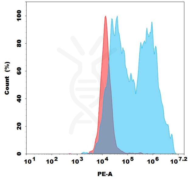 FC-bme100127p sstr2 fc1