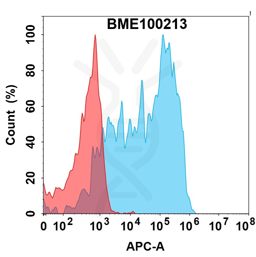 FC-bme100213 gm csfr fc1