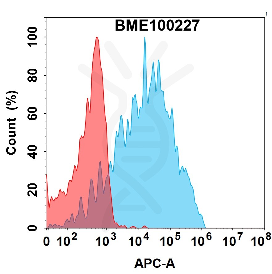 FC-bme100227 crtam fc1