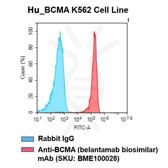 fc-cel100002 h bcma k562 cell line flow