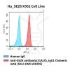 fc-cel100037 hu sez6 k562 cell line flow