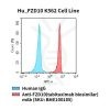 fc-cel100053 hu fzd10 k562 cell line flow