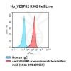 fc-cel100074 hu vegfr2 k562 cell line flow