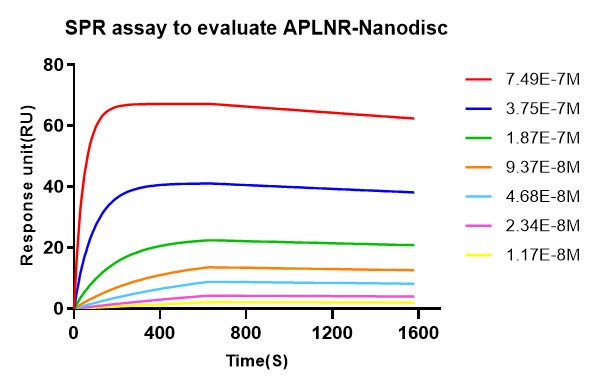 flp100132-aplnr-spr1.jpg