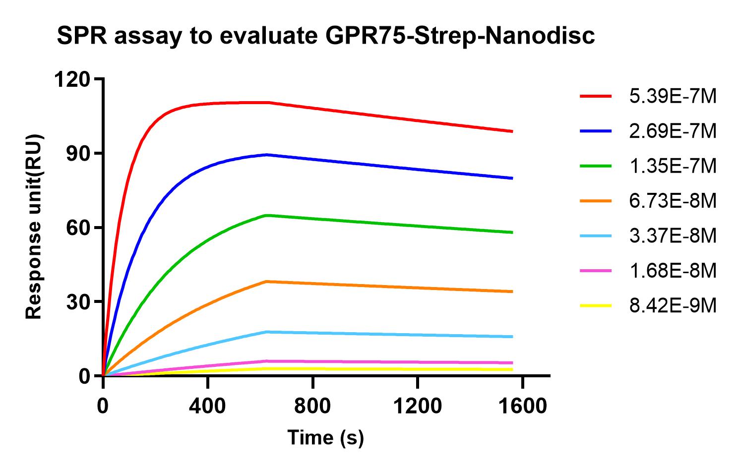 flp120031-gpr75-strep-spr1.jpg