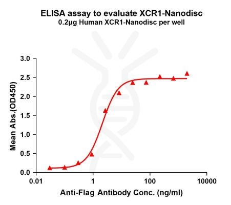 elisa-FLP100120 XCR1 Fig.1 Elisa 1