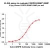 elisa-FLP200145 CGRPR RAMP1 Fig.1 Elisa 1