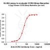 elisa-flp120028 ccr2 strep elisa1