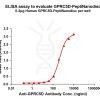 elisa-flp400011 gprc5d elisa1