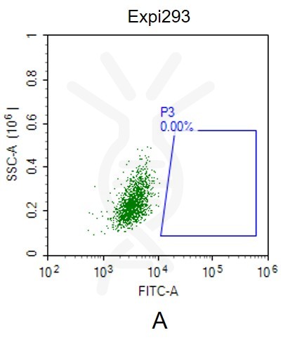 fc-FLP100017 CLDN18.2 Fig.2A FC 1