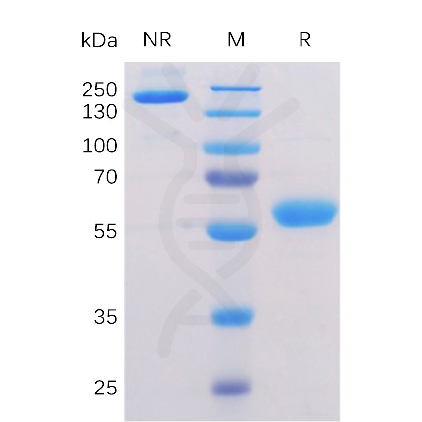 sp-pme100056 btn3a1 sp1