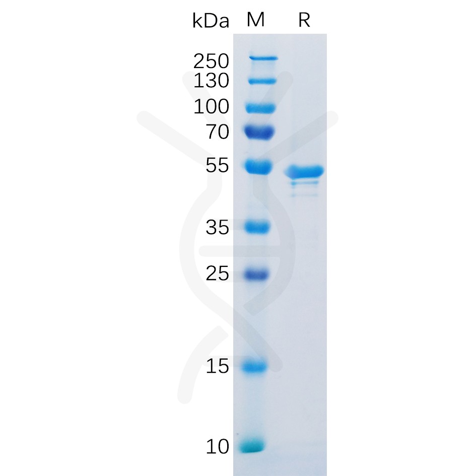 sp-pme100152 ca9 sp1
