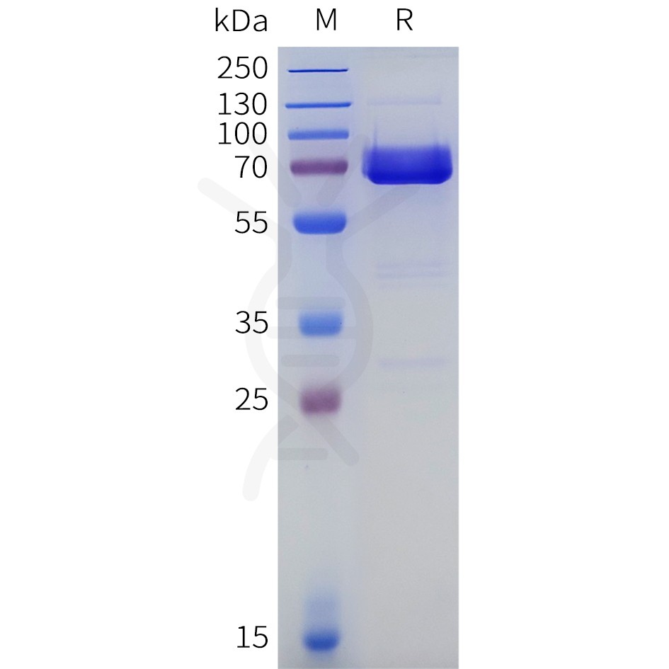 sp-pme100899 acpp sp1
