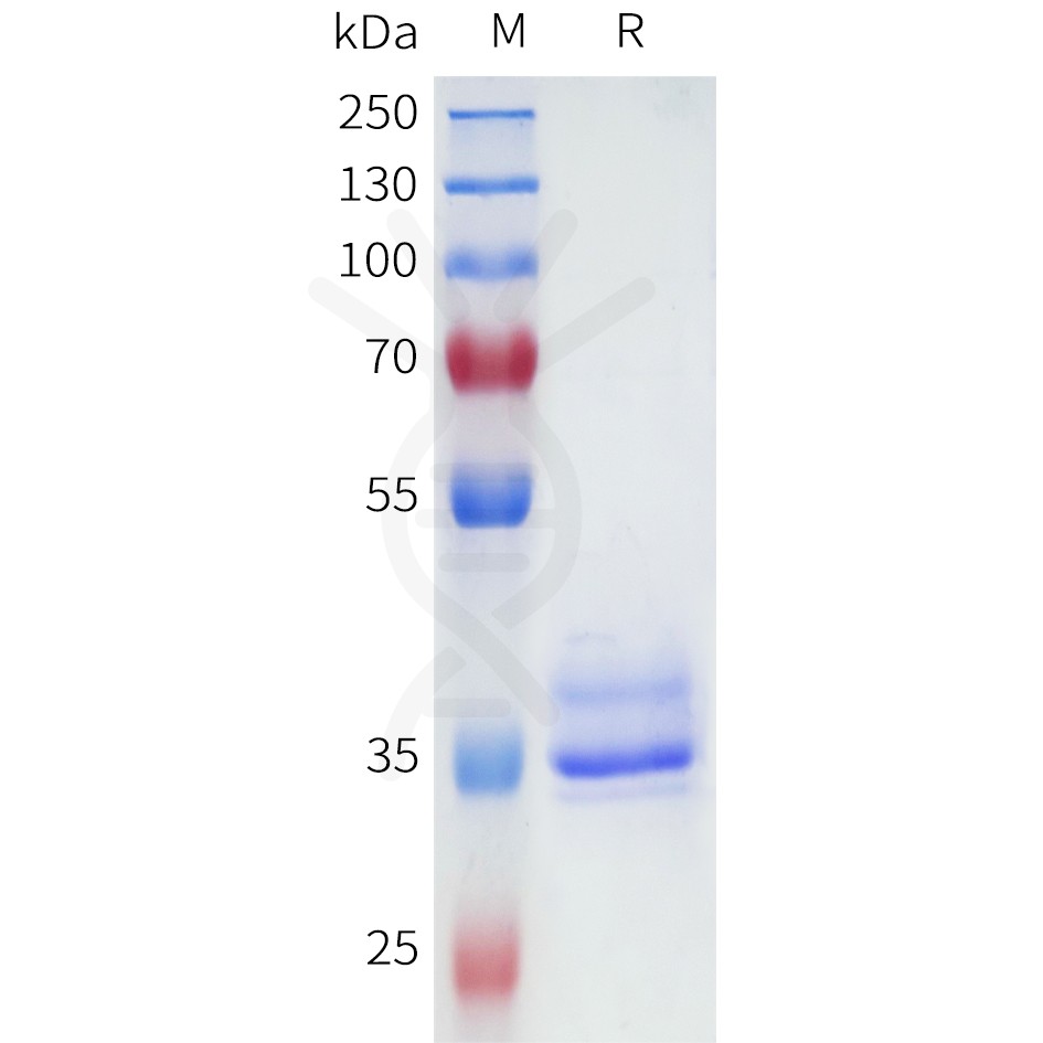 sp-pme101698 qrfpr sp1