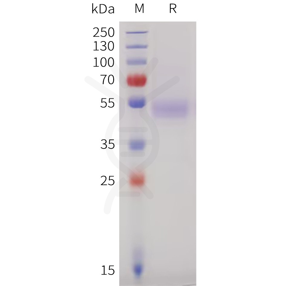 sp-pme101732 ighe sp1