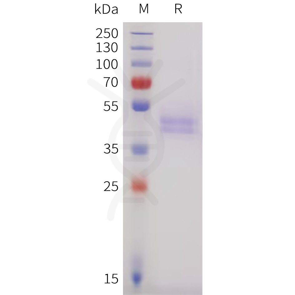 sp-pme101734 ighe sp1