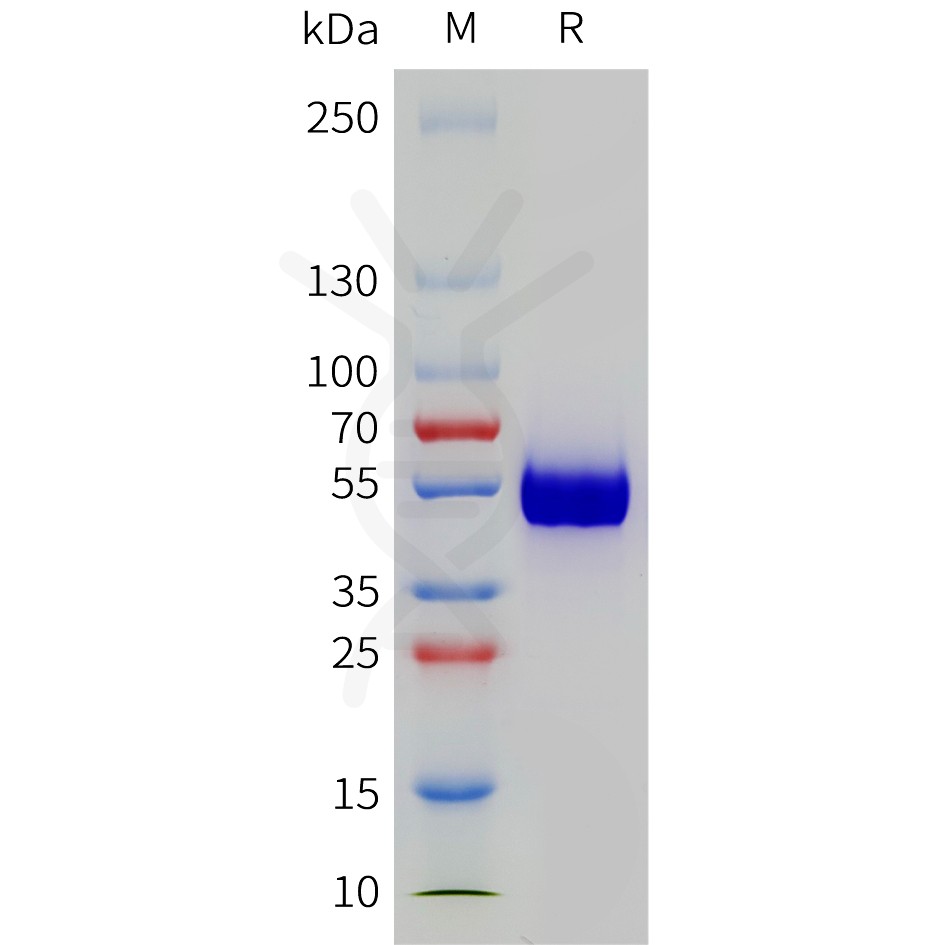 sp-pme101789 pd 1 sp1