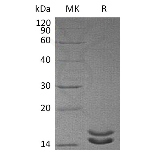 sp-pme30037 il 2 sp1